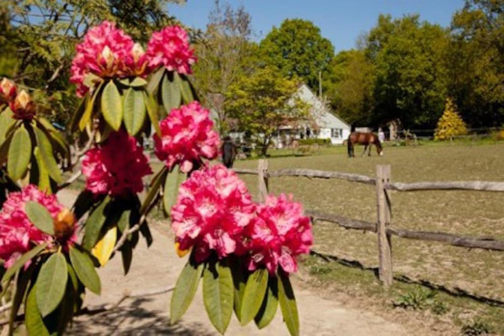 The Cottage Cross in Hand Экстерьер фото